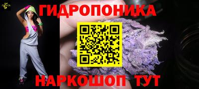 гашик Аргун