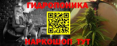 гашик Аргун