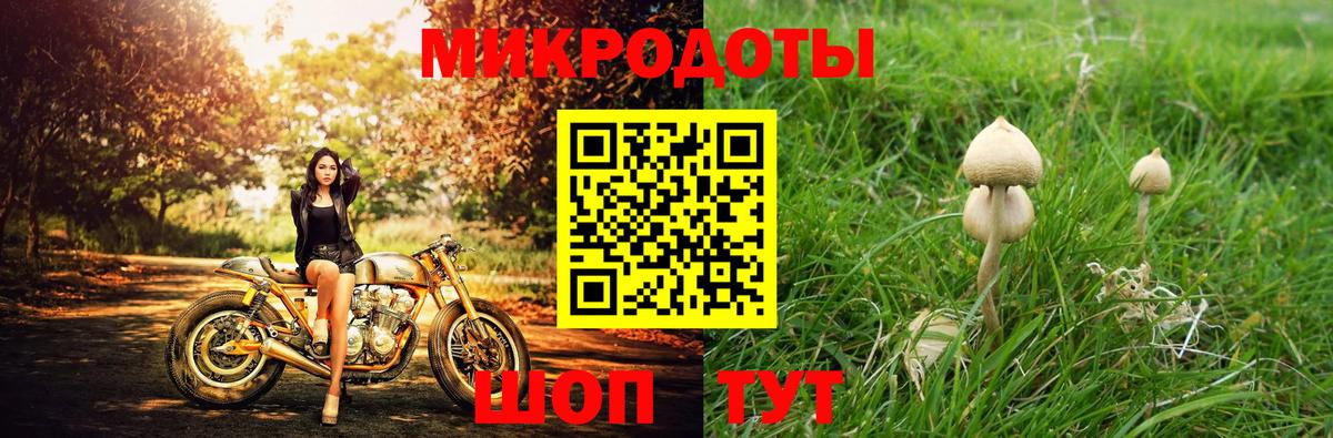 Галлюциногенные грибы MAGIC MUSHROOMS  закладка  Гудермес  Галлюциногенные грибы мицелий  Вход с VPN 