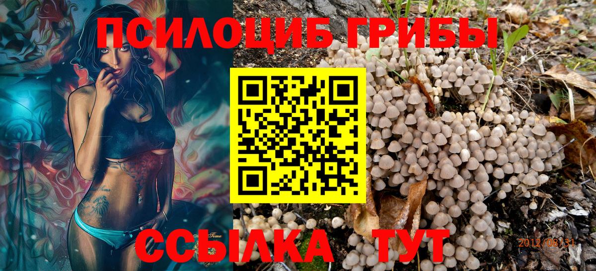 Псилоцибиновые грибы GOLDEN TEACHER Гудермес
